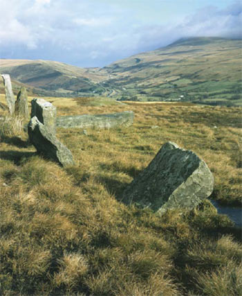 Saith Maen stone row, near Dan yr Ogof, Powys. Crown Copyright ©RCAHMW (NPRN84328, D12006_0772RI)